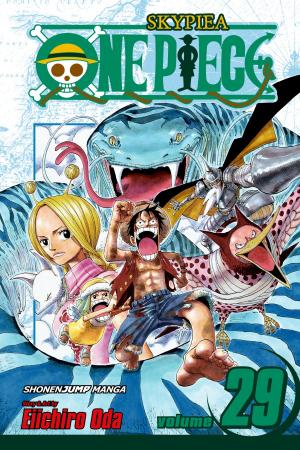 Cover of One Piece, Vol. 29