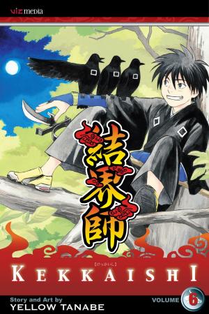 Cover of the book Kekkaishi, Vol. 6 by CLAMP