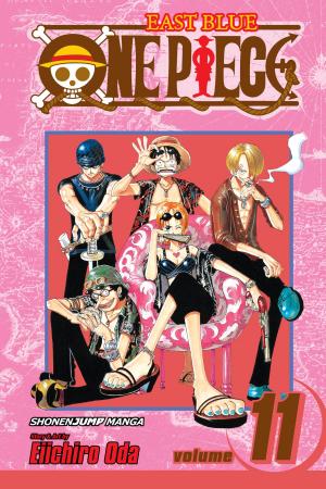 Cover of the book One Piece, Vol. 11 by Matsuri Hino