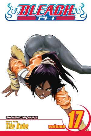 Cover of the book Bleach, Vol. 17 by Chie Shinohara