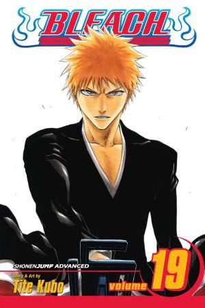 Cover of the book Bleach, Vol. 19 by Gosho Aoyama