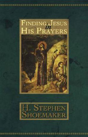 Book cover of Finding Jesus in His Prayers