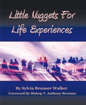 Cover of the book Little Nuggets for Life's Experiences by Uffoh Emmanuel Onweazu