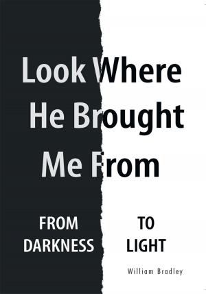 Cover of the book Look Where He Brought Me From by Paula Rae Wallace