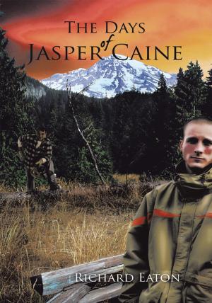 Cover of the book The Days of Jasper Caine by Zoe Williamson