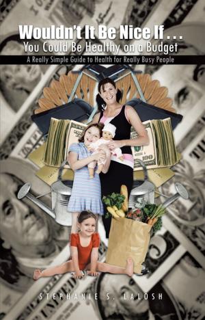 Cover of the book Wouldn’T It Be Nice If . . . You Could Be Healthy on a Budget by Dianna Wood