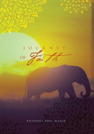 Cover of the book Journey of Faith by Justin Grotrian, Tim Grotrian