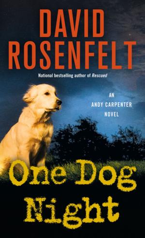Cover of the book One Dog Night by Arnaldur Indridason