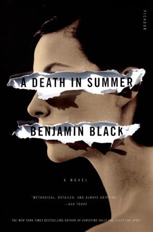Cover of the book A Death in Summer by Morgan C. Talbot