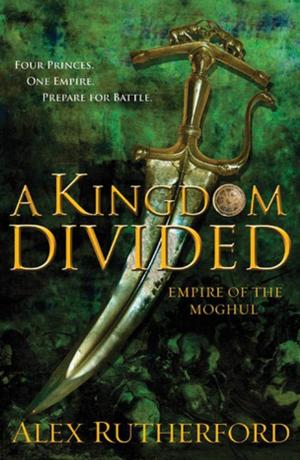 Cover of the book A Kingdom Divided by Mark Richard Zubro
