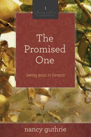 Book cover of The Promised One (A 10-week Bible Study)