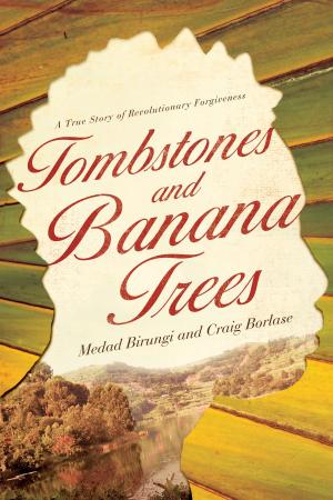 Cover of the book Tombstones and Banana Trees by Noel Jesse Heikkinen