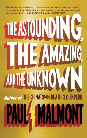 Cover of the book The Astounding, the Amazing, and the Unknown by Bill McKibben
