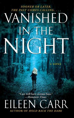 Cover of the book Vanished in the Night by Monica La Porta