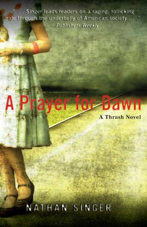 bigCover of the book A Prayer for Dawn by 