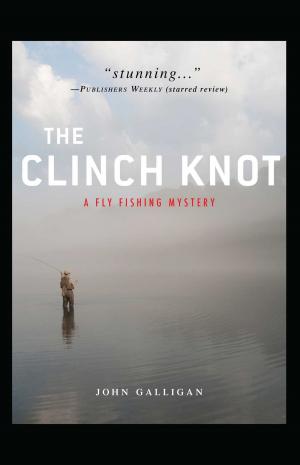Cover of the book The Clinch Knot by Lisa Cach