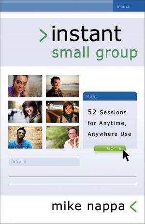 Cover of the book Instant Small Group by Dale Cramer