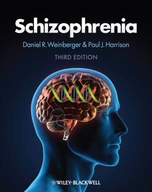 Cover of the book Schizophrenia by Bruce Johnson