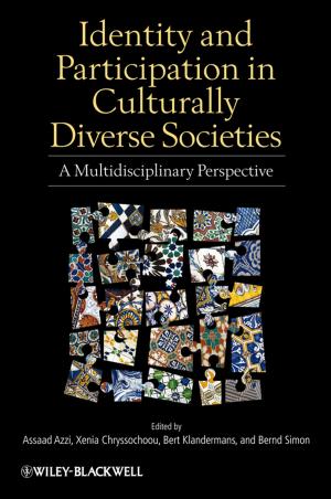 Cover of the book Identity and Participation in Culturally Diverse Societies by Rohit Bhargava