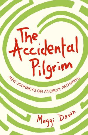 Cover of the book The Accidental Pilgrim by Nick Page