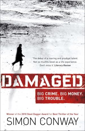 Cover of the book Damaged by Teresa Montagna