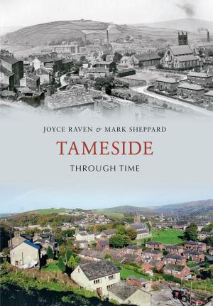 Book cover of Tameside Through Time
