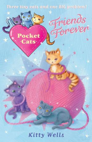 Cover of the book Pocket Cats: Friends Forever by Robert Swindells