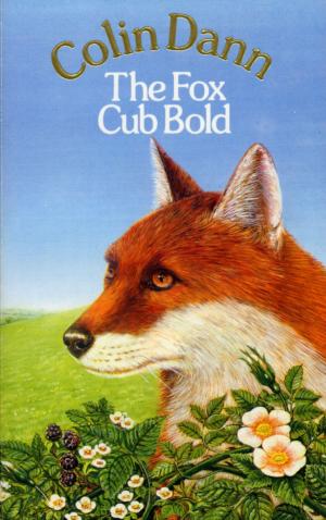 Cover of the book The Fox Cub Bold by Robert Swindells