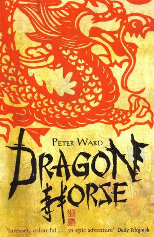 Cover of the book Dragon Horse by Catherine Fisher