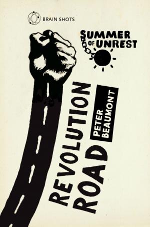 Cover of the book Summer of Unrest: Revolution Road by Eva Douma