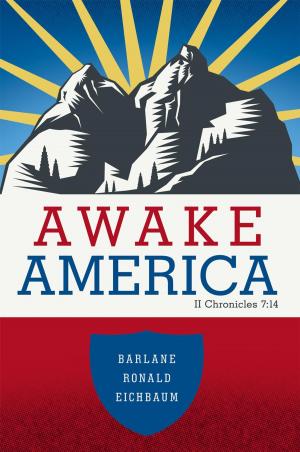 Cover of the book Awake America by Rhonda M. DeRouen