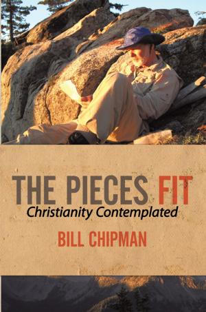 Cover of the book The Pieces Fit by David W. Anderson