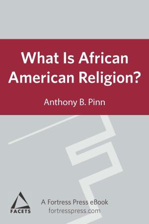 Book cover of What is African American Religion?