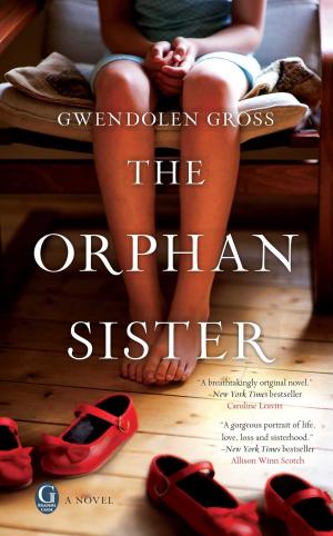 Cover of the book The Orphan Sister by M. H. Wilkie