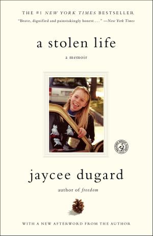 Cover of the book A Stolen Life by Gare Joyce