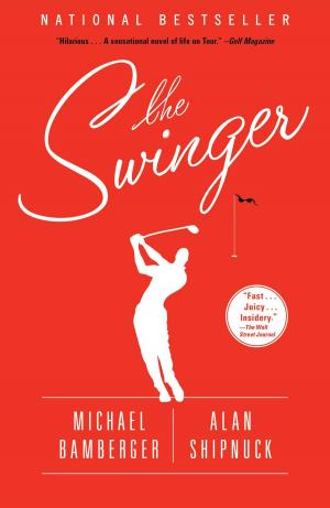 Cover of the book The Swinger by Andrew Pyper