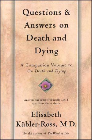 Cover of the book Questions and Answers on Death and Dying by Joanna Faber, Julie King