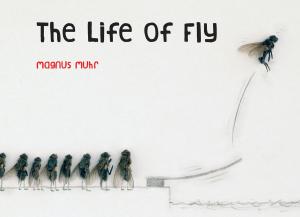 Cover of the book Life of Fly by Sarah O'Leary Burningham