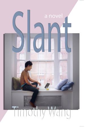 Cover of the book Slant: A Novel by E.V. Legters