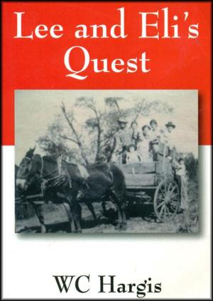 Book cover of Lee and Eli's Quest