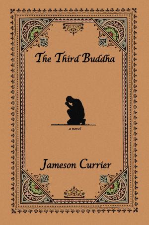 Cover of the book The Third Buddha by Thomas Keith