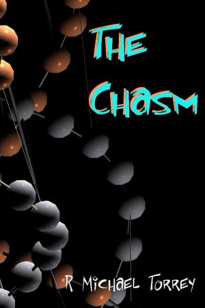 Cover of the book The Chasm by julie smith