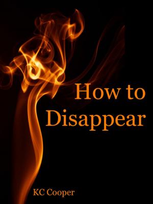 Cover of the book How to Disappear NOW by Anthony Legins