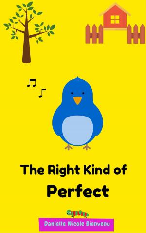 Cover of The Right Kind of Perfect