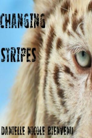 Cover of the book Changing Stripes by Susan Cardoza