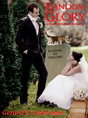 Cover of the book Random Glory by Adam Wasserman
