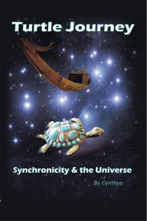 Cover of the book Turtle Journey by Esperanza S. Rey