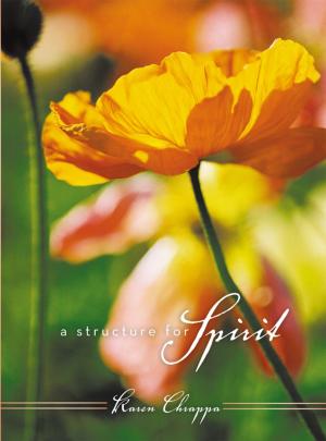 Cover of the book A Structure for Spirit by Brad Flinders
