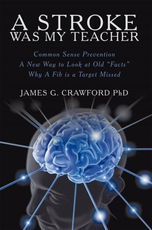 Cover of the book A Stroke Was My Teacher by Jim Gardner