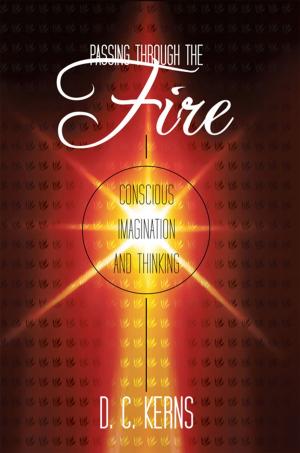 Book cover of Passing Through the Fire